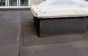 disadvantages of The Hermitage flat roofs